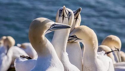 kaiyun体育app-国际米兰客场大胜克罗托内，势不可挡，国际米兰对克罗托内比分