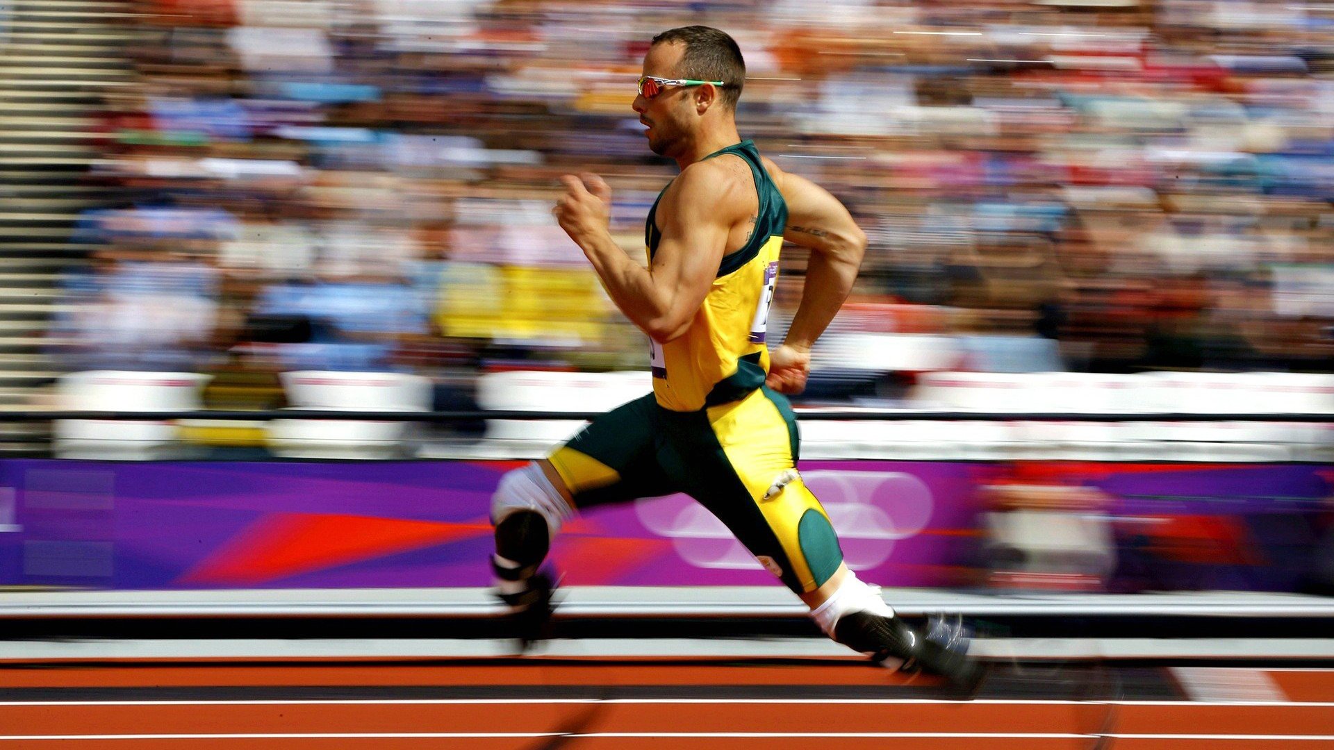 塞内加尔马术协会与美洲马术协会合作,举办国际马术交流活动,促进文化互鉴。